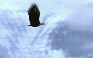 企业动态最新资讯-快科技--科技改变未来